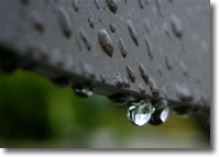 Water Dripping From a Metal Roof