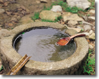 Stone Basin Full of Water